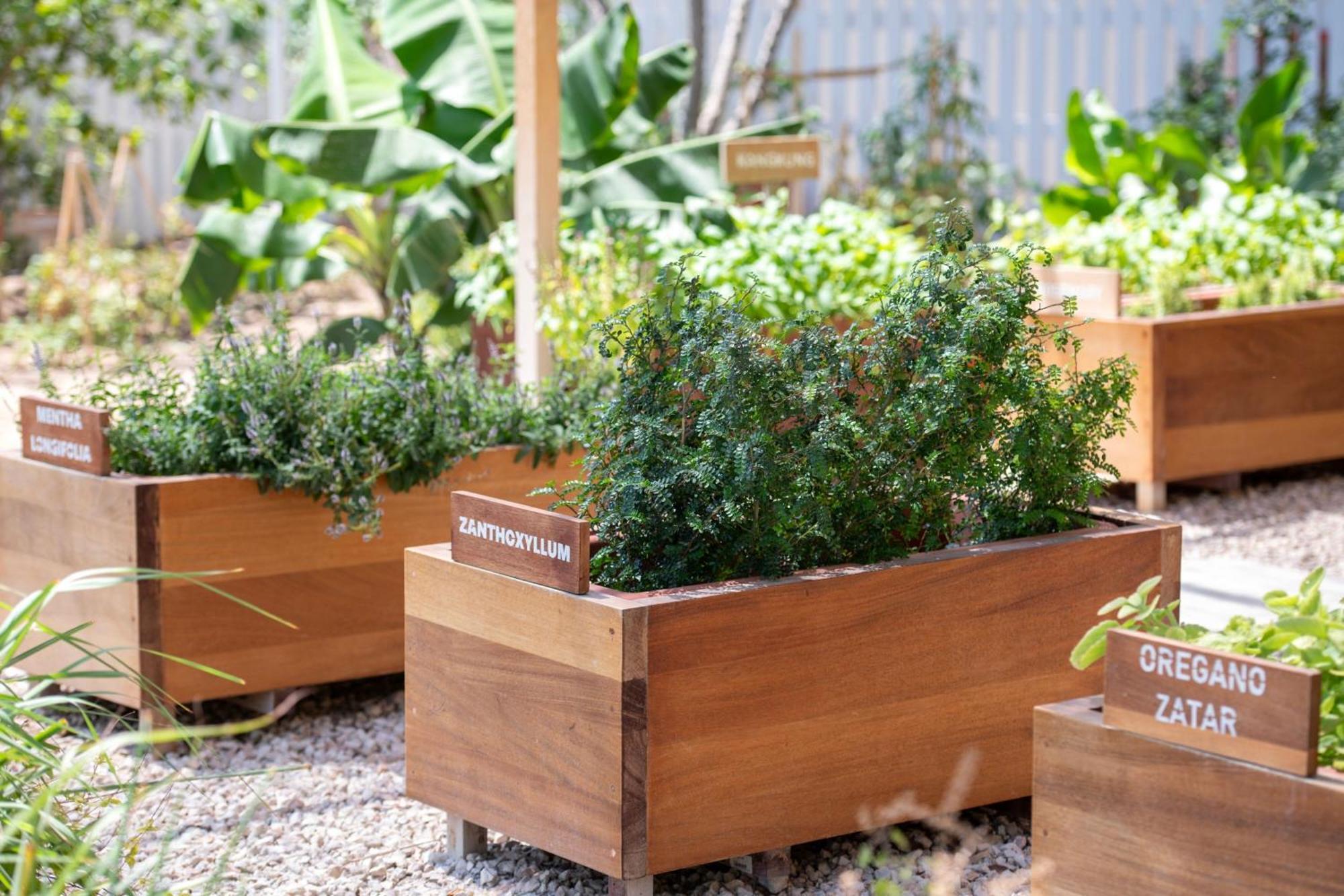 מלון The Ritz-Carlton, דוחה מראה חיצוני תמונה Raised beds in a garden